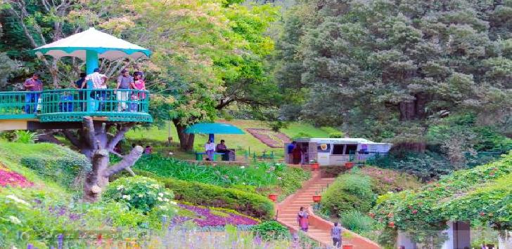 Bangalore Mysore Ooty