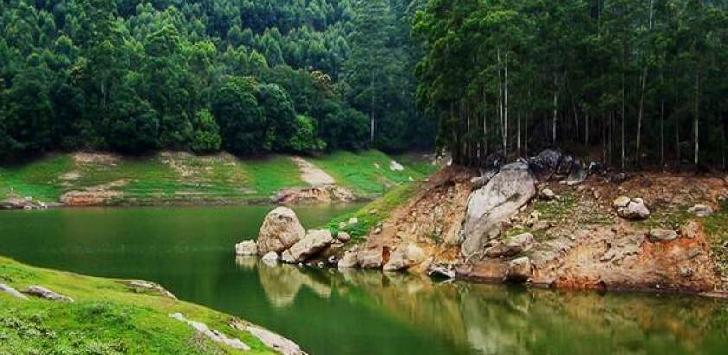 Kovalam Munnar Alleppey Thekkady Coachin