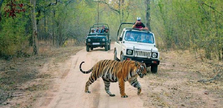 NAINITAL - JIM CORBETT